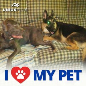 Meet your Posher, Tammy